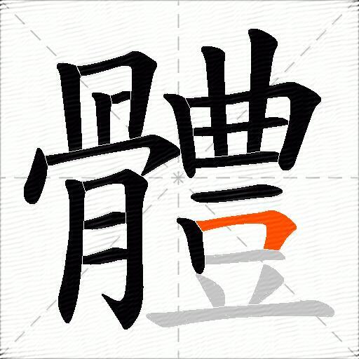 體