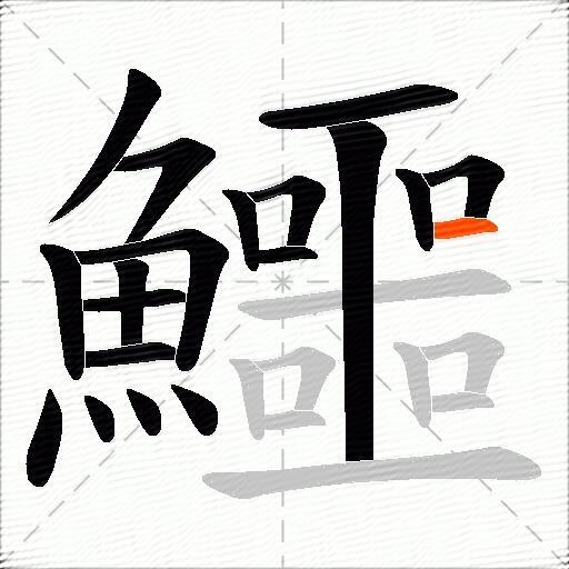 鱷