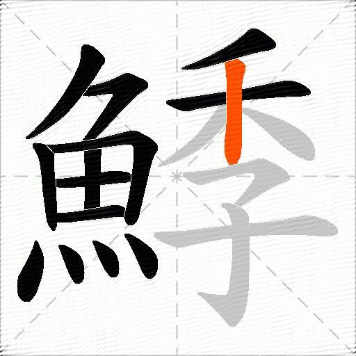鯚