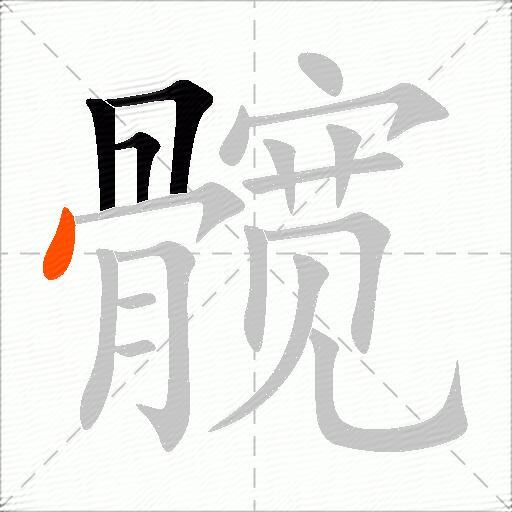 髋
