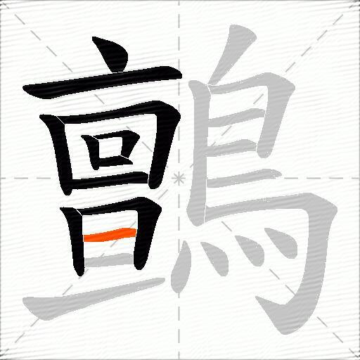 鸇