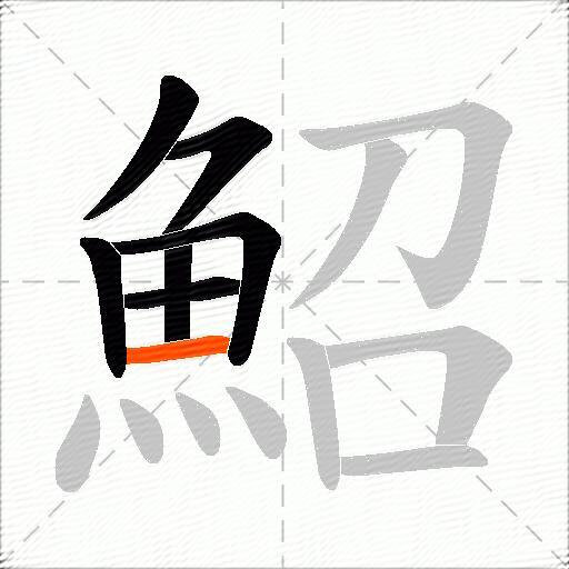 鮉