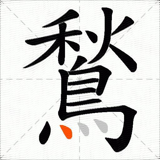 鶖
