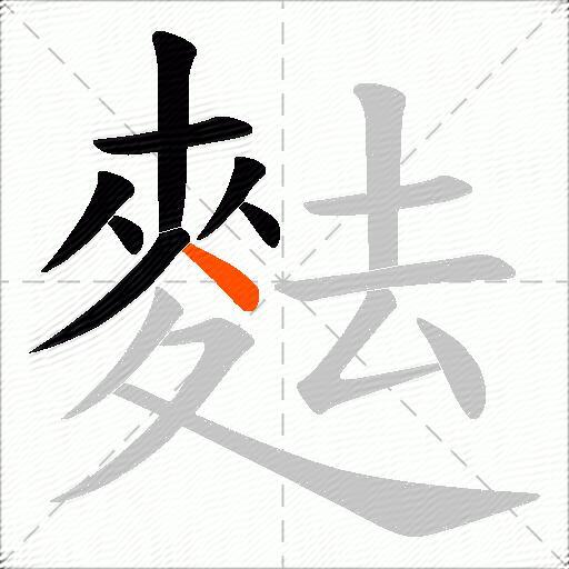 麮