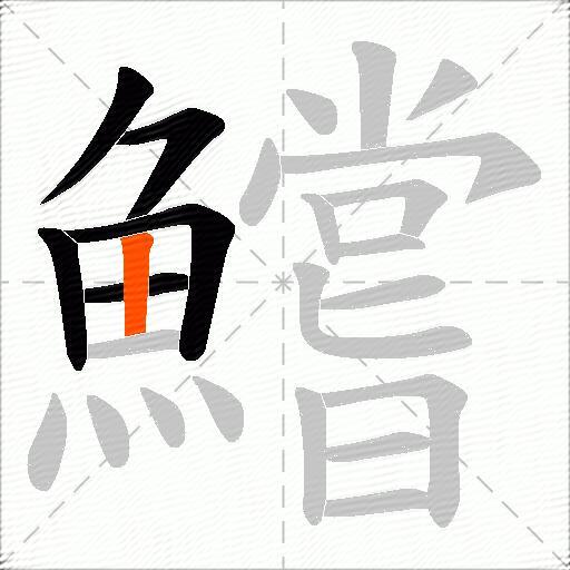 鱨