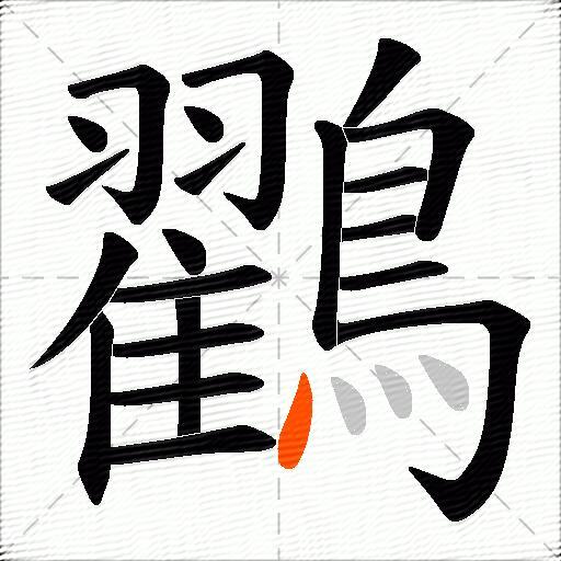 鸐