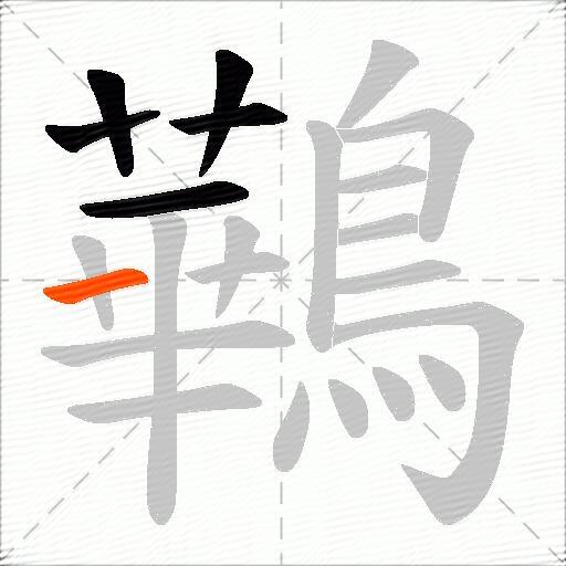 鷨