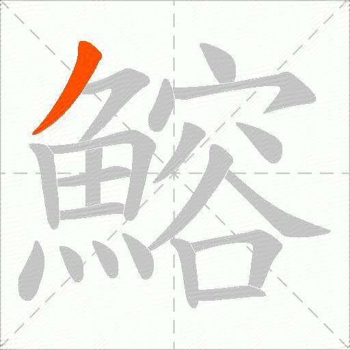 鰫