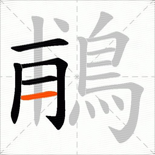 鵏
