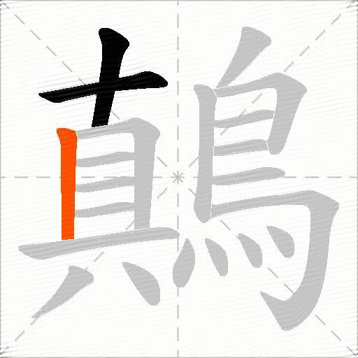 鷏