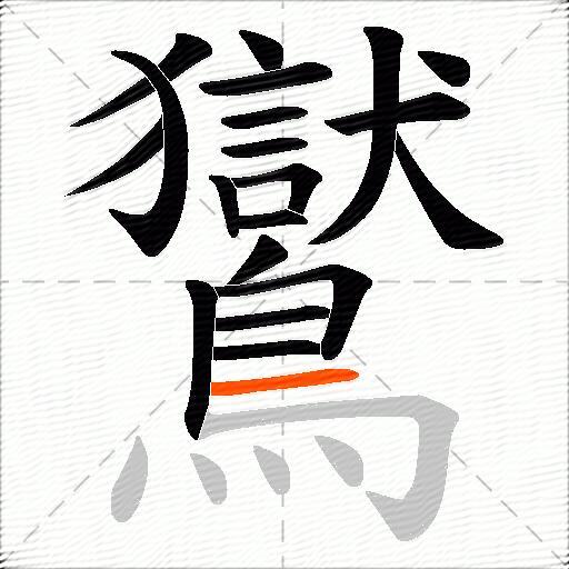 鸑