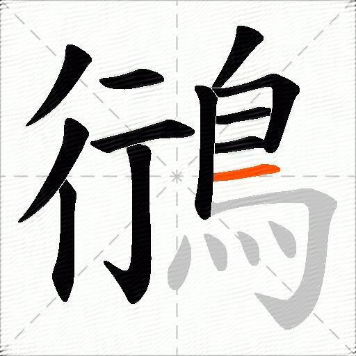 鴴