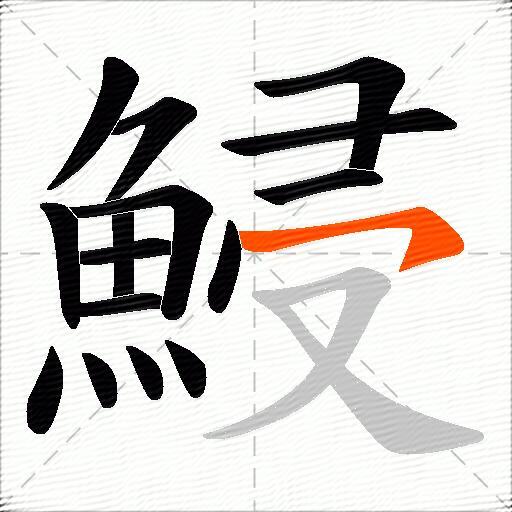 鮼