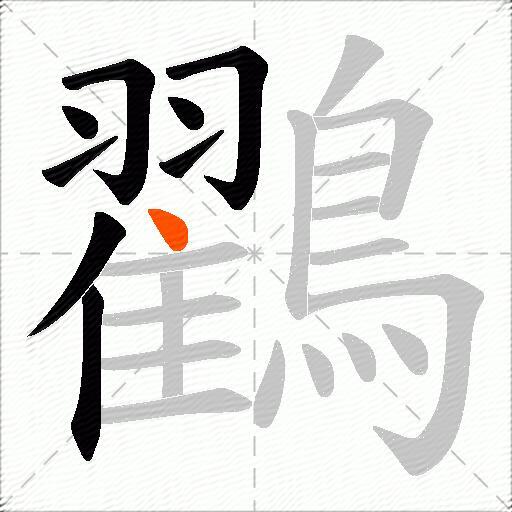 鸐
