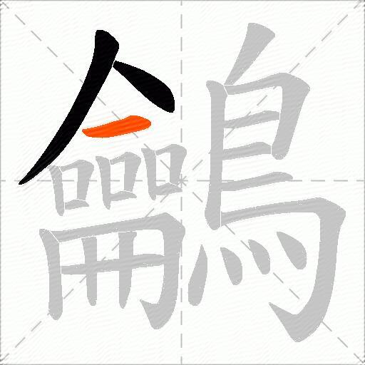 鸙