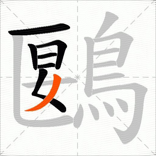 鶠