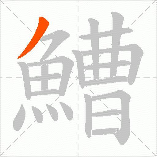 鰽
