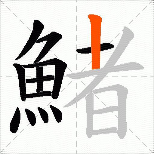 鯺
