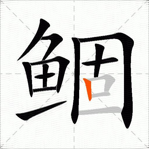鲴