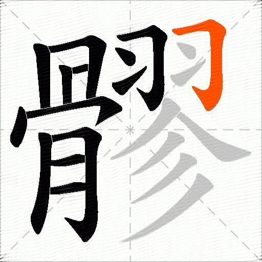 髎