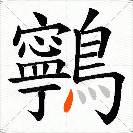 鸋