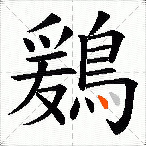 鶢