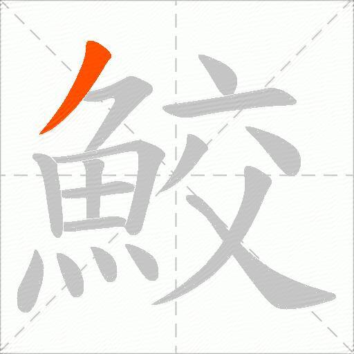 鮫