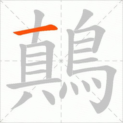 鷏
