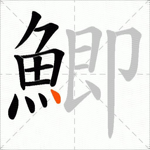 鯽