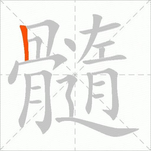 髓