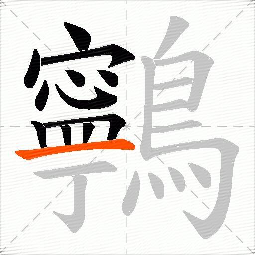 鸋