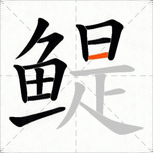 鳀
