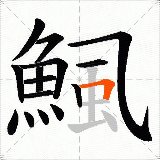 鯴