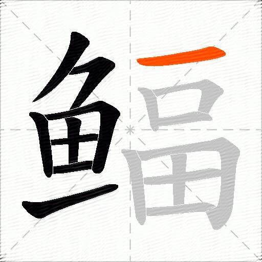 鲾