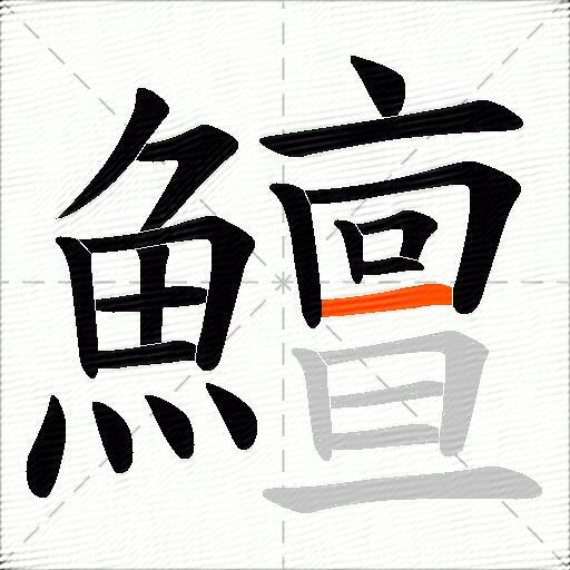 鱣