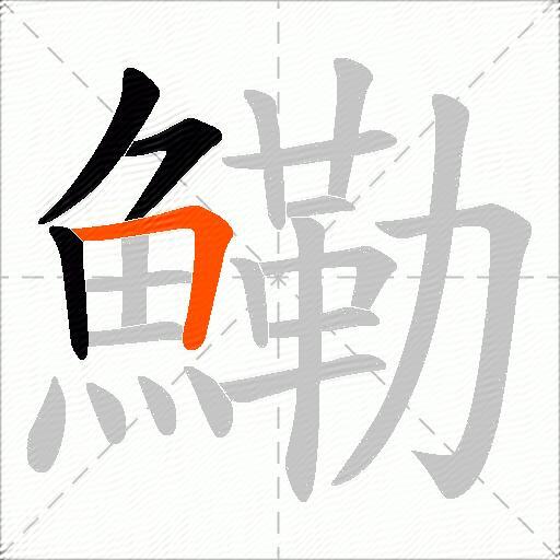 鰳