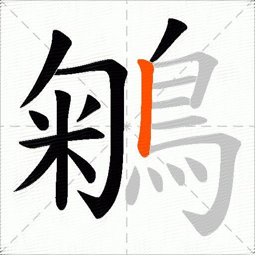 鵴