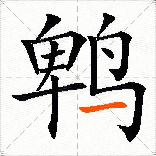 鹎