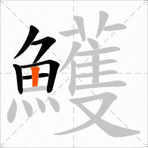 鱯
