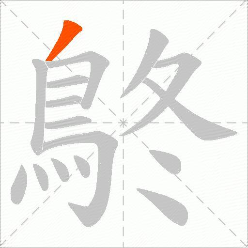 鴤