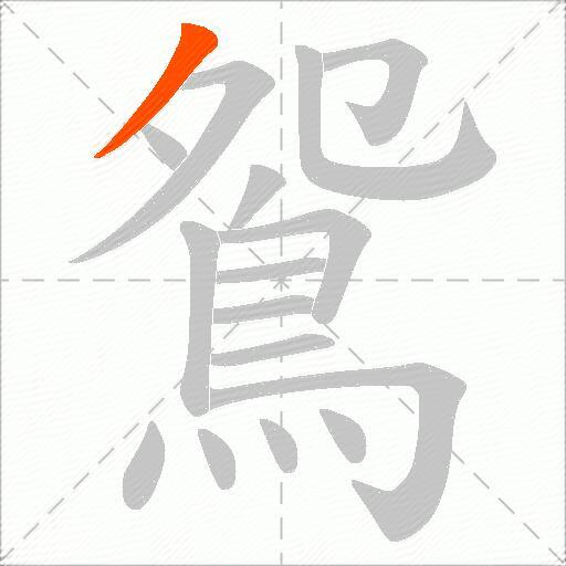 鴛