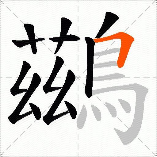 鷀
