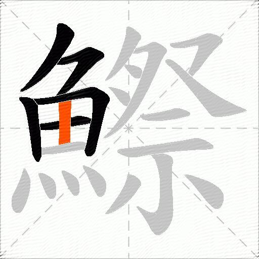 鰶