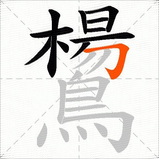 鸉