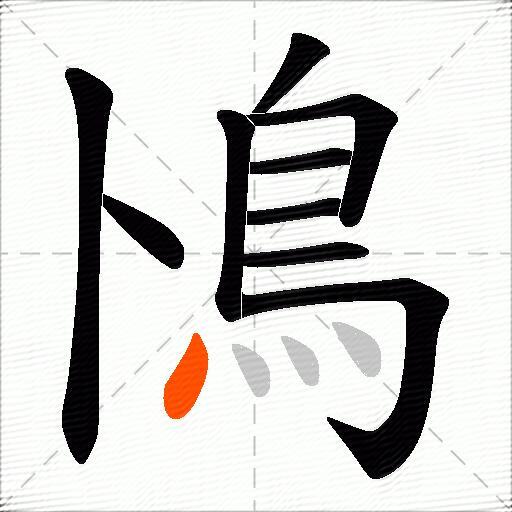 鳪