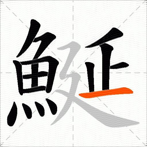 鯅