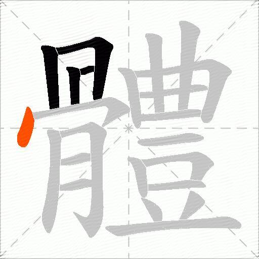 體