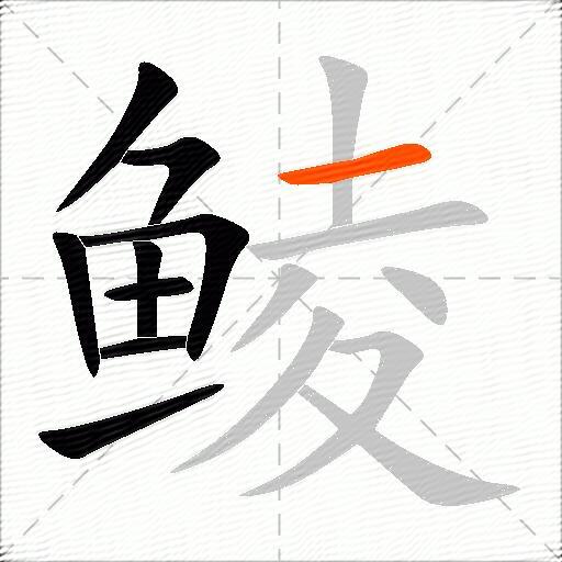 鲮