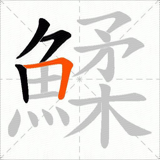 鰇