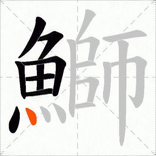 鰤